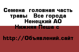 Семена (головная часть))) травы - Все города  »    . Ненецкий АО,Нижняя Пеша с.